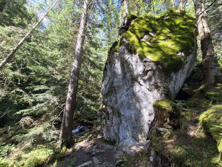 Untere Brüggele Alpe, Brandnertal, Alpserie