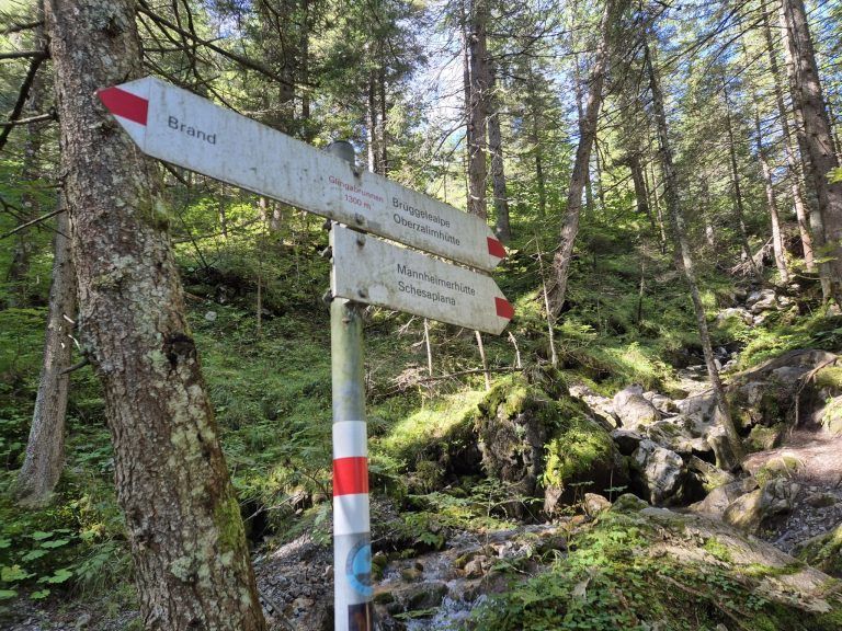 Untere Brüggele Alpe, Brandnertal, Alpserie