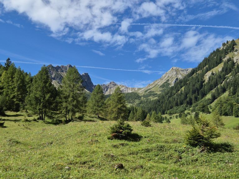 Untere Brüggele Alpe, Brandnertal, Alpserie