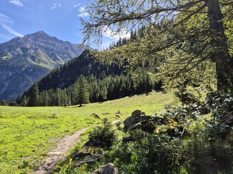 Untere Brüggele Alpe, Brandnertal, Alpserie