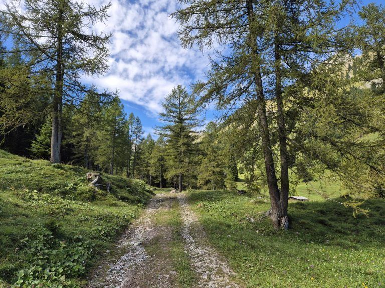 Untere Brüggele Alpe, Brandnertal, Alpserie
