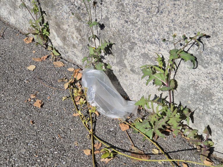Müll, Müllablagerung, Innenstadt Bludenz