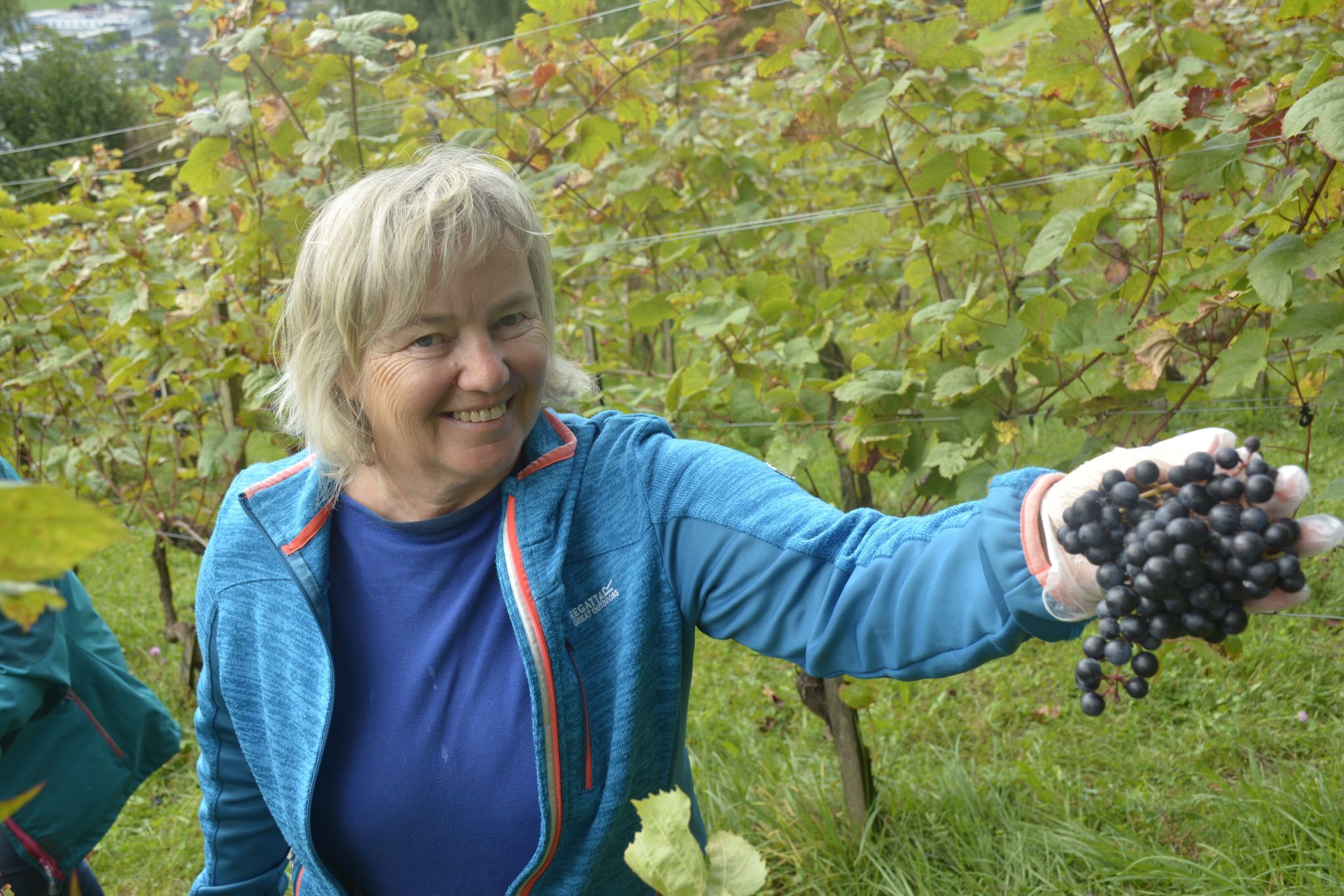 Margit Lampert