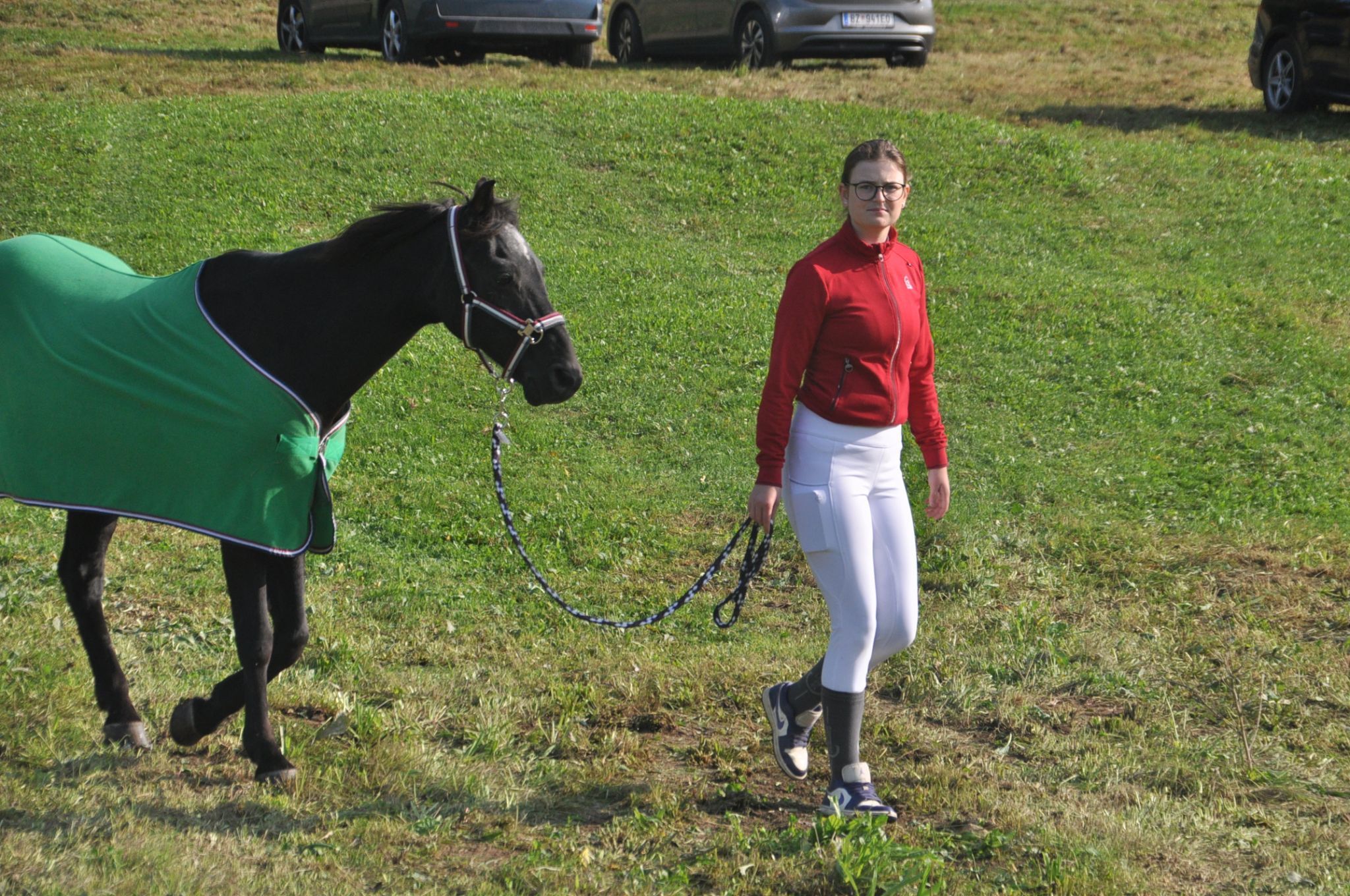 Pferd und Reiterin zu Fuß
