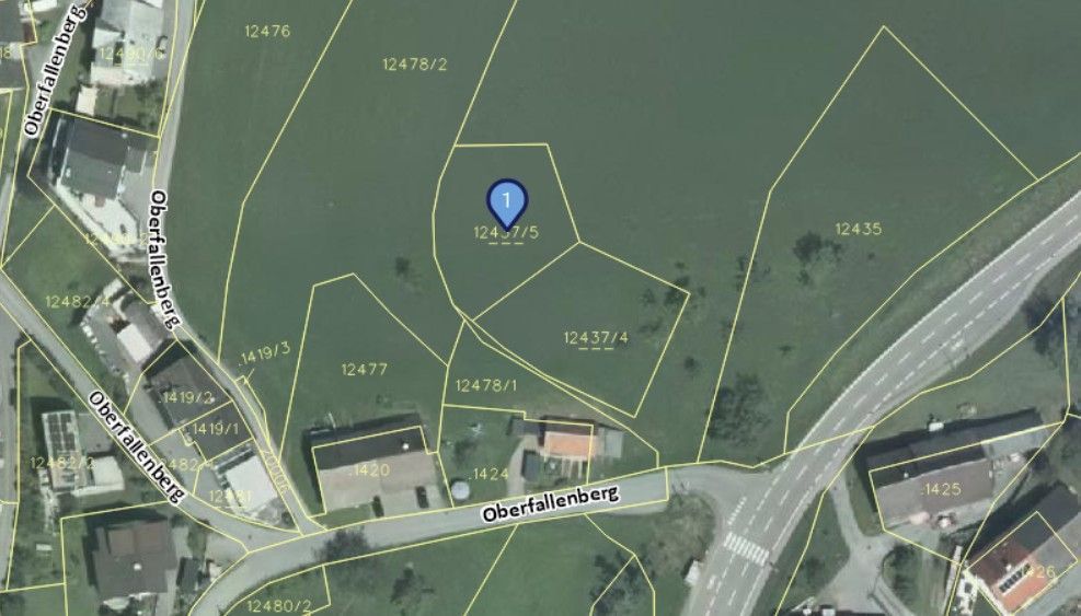 Land Vorarlberg: data.vorarlberg.gv.at, BEV (DKM)