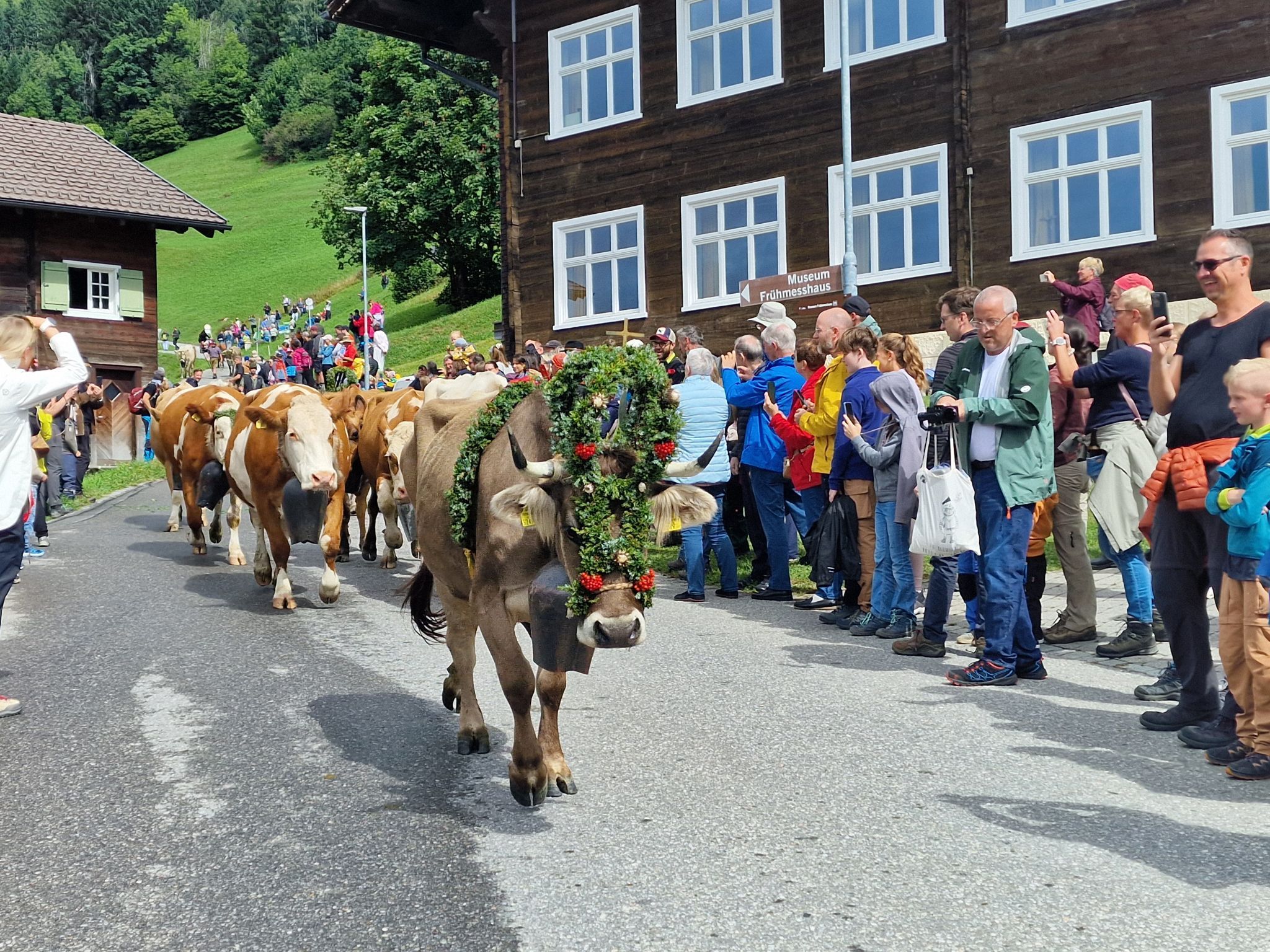 Alpabtrieb von der Alpe Latons ist ein freudiges Fest für das ganze Dorf. (Bildergalerie)