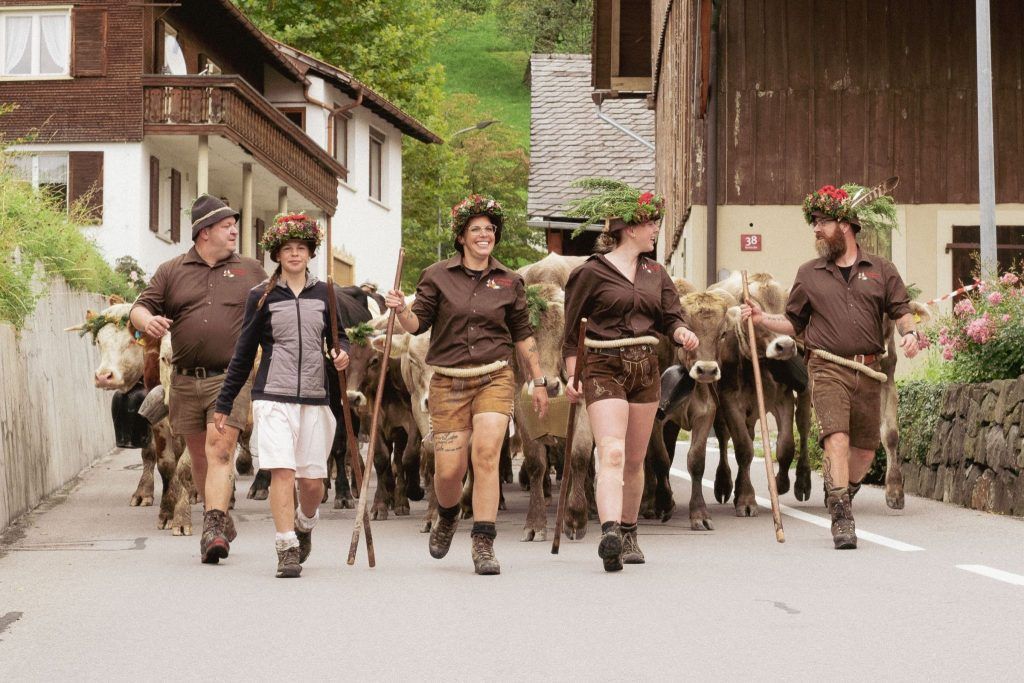 173 Rinder erfolgreich von der Alpe Hohe Kugel nach Fraxern gebracht