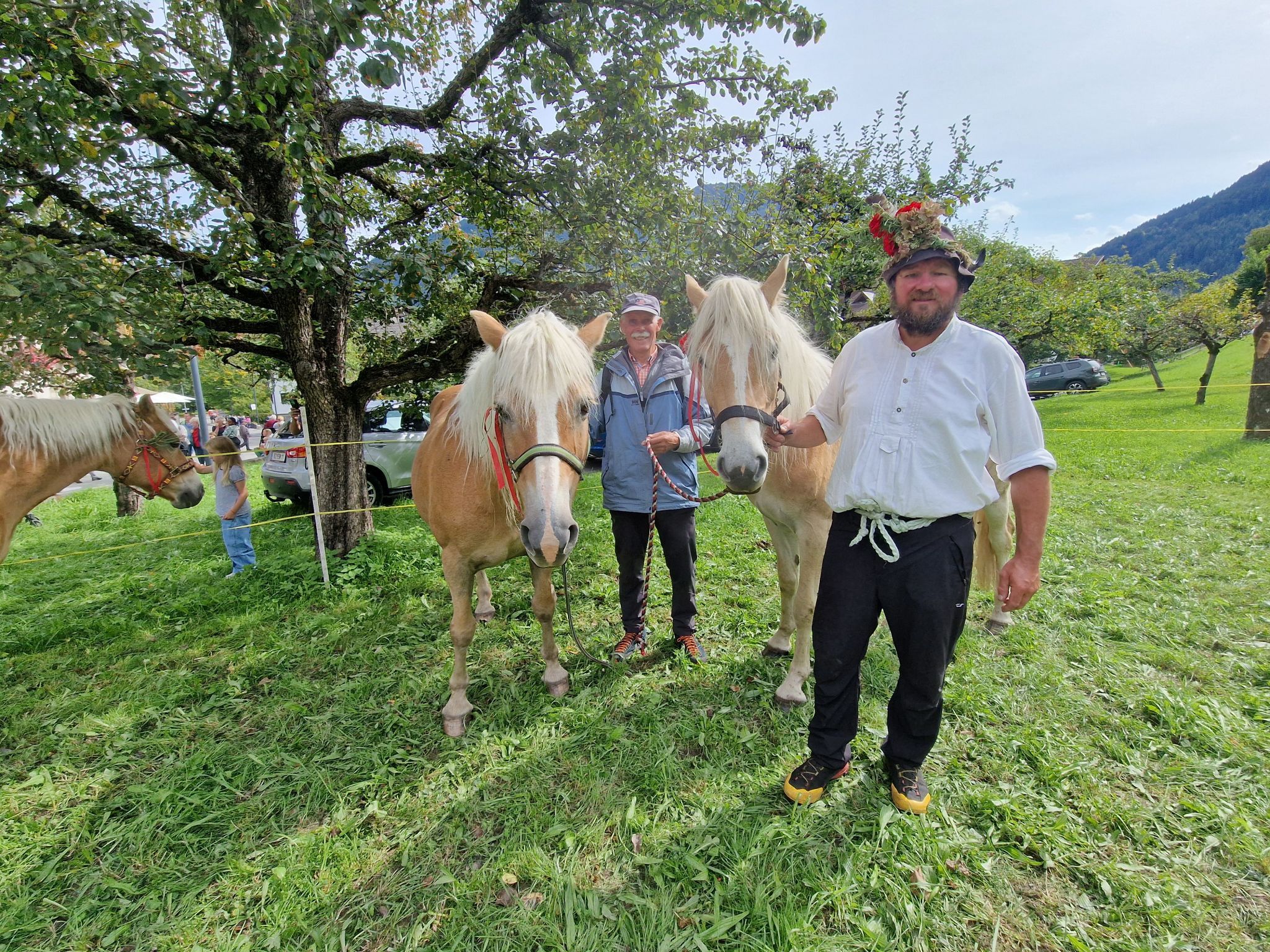 Impressionen von Alpabtrieb der vier Alpen in Tschagguns. (Bildergalerie)
