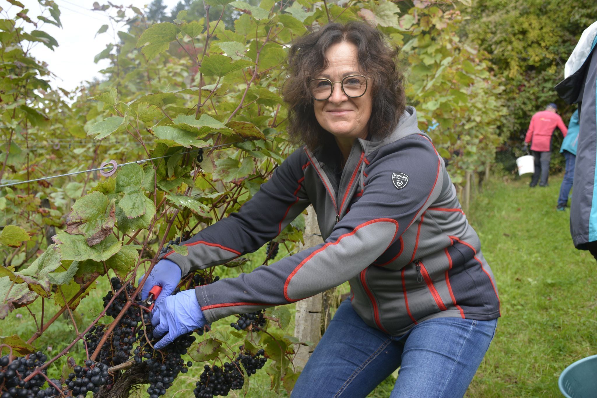 Gabriele Müller