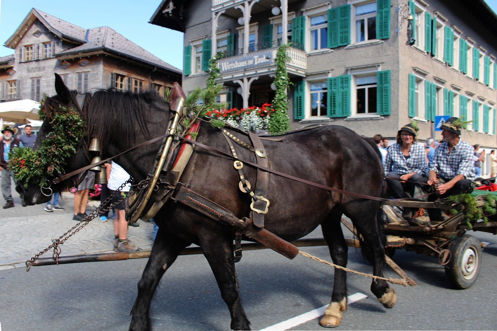 Viele Alpen gingen längst mit der Zeit und transportieren Alpgerätschaften mit dem Geländewagen, nicht so der Schwender der Alpe Halden, der mit dem