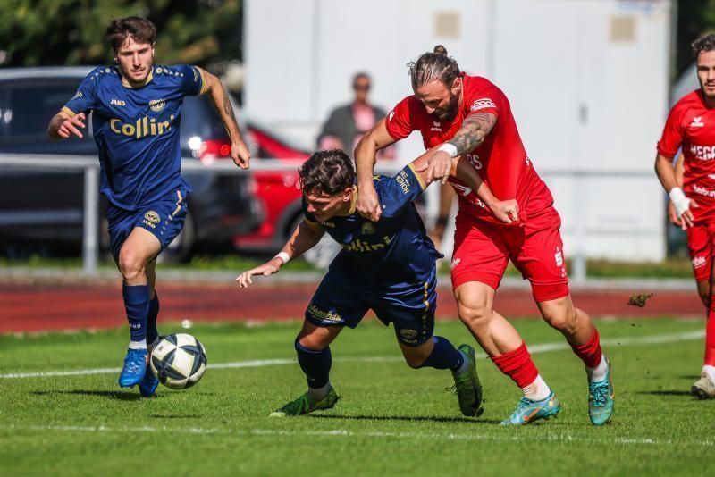 Leidenschaft pur: Sasa Stojnic und Angelo Bacic.STEURER