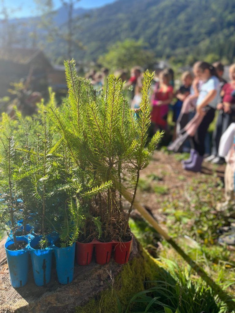 Kinderhände gestalten Wald von morgen