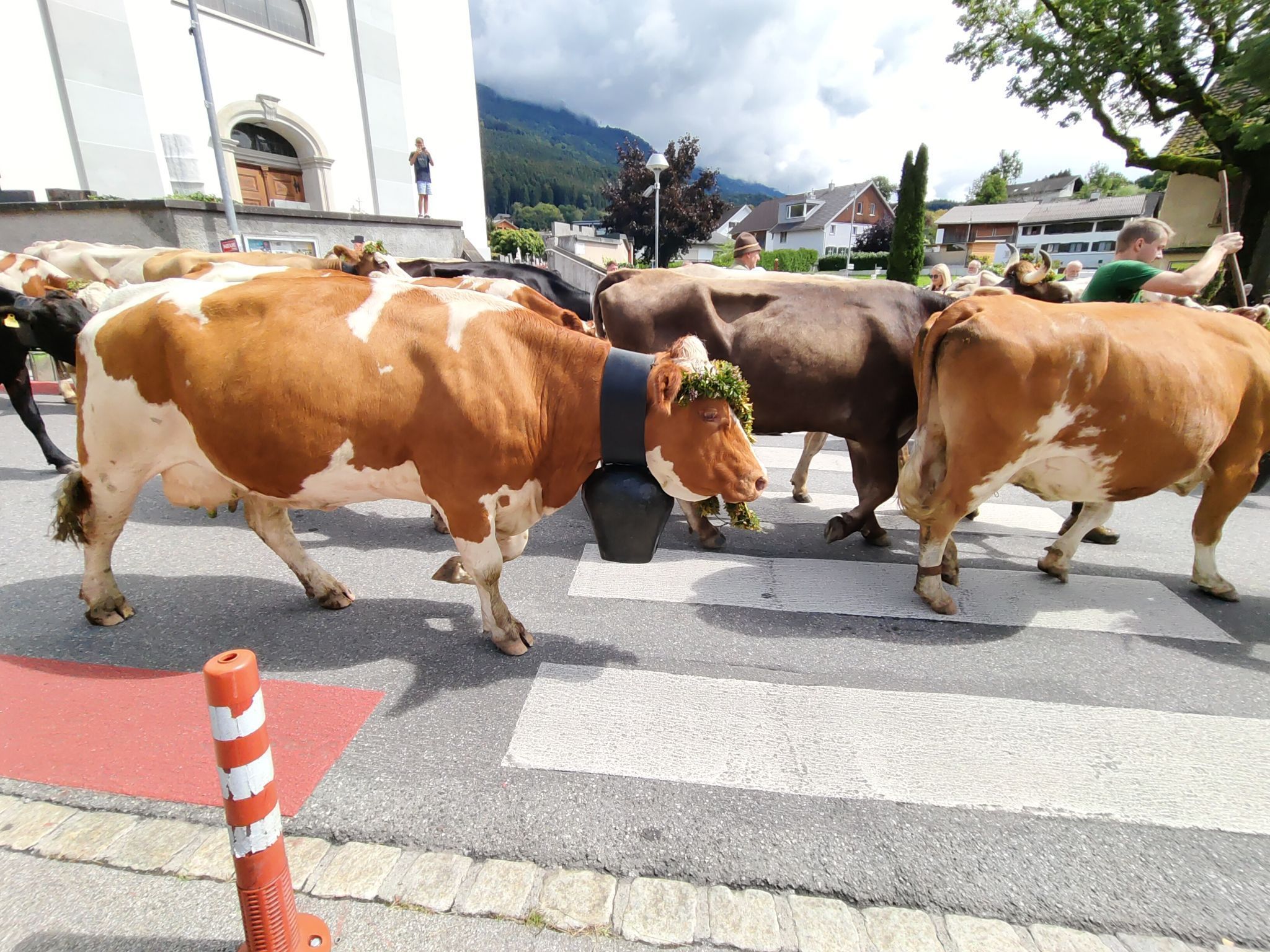 Die Älpler führten ihre Tiere traditionsbewusst durchs Dorf.