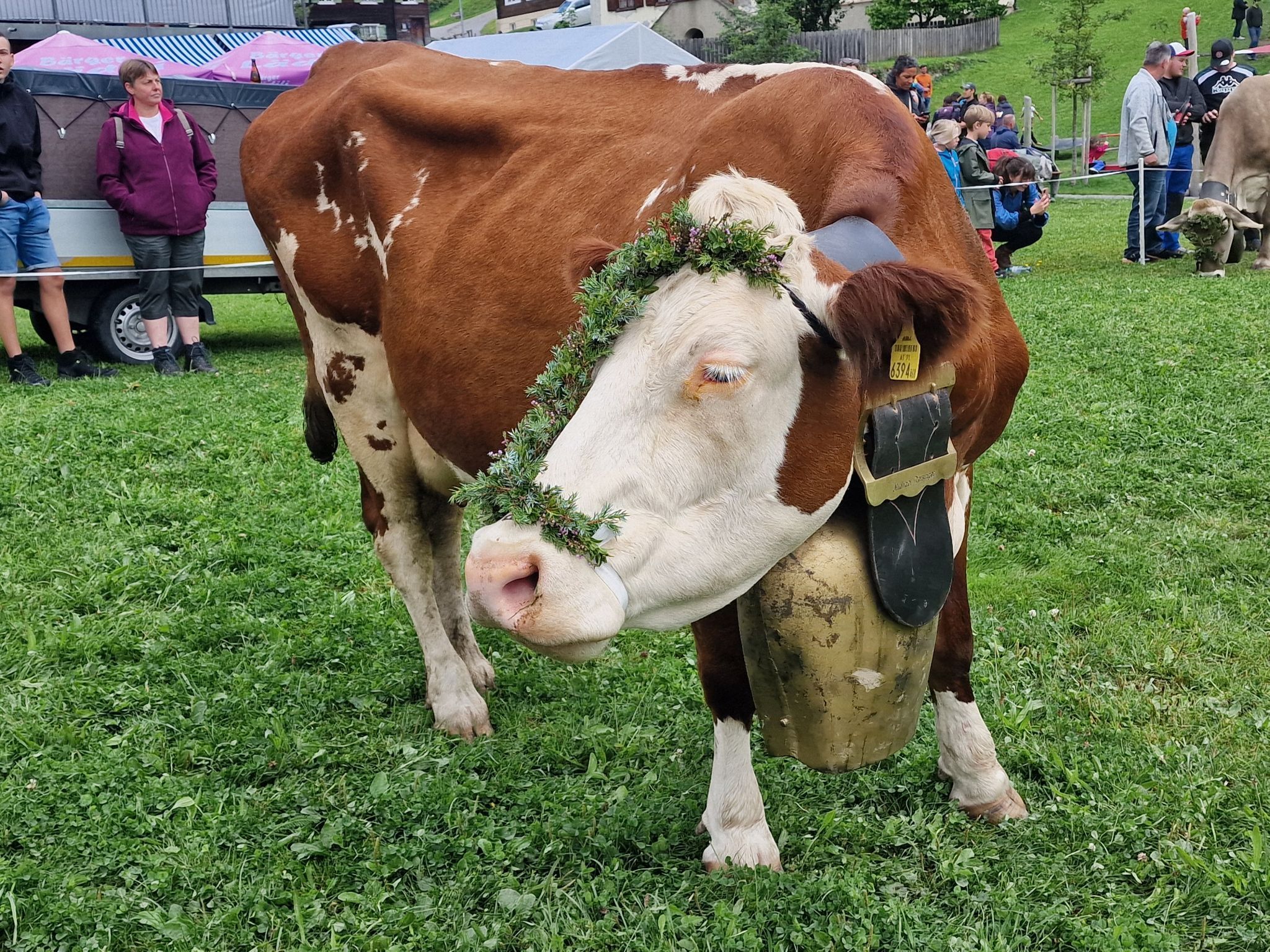 Alpabtrieb von der Alpe Latons ist ein freudiges Fest für das ganze Dorf. (Bildergalerie)