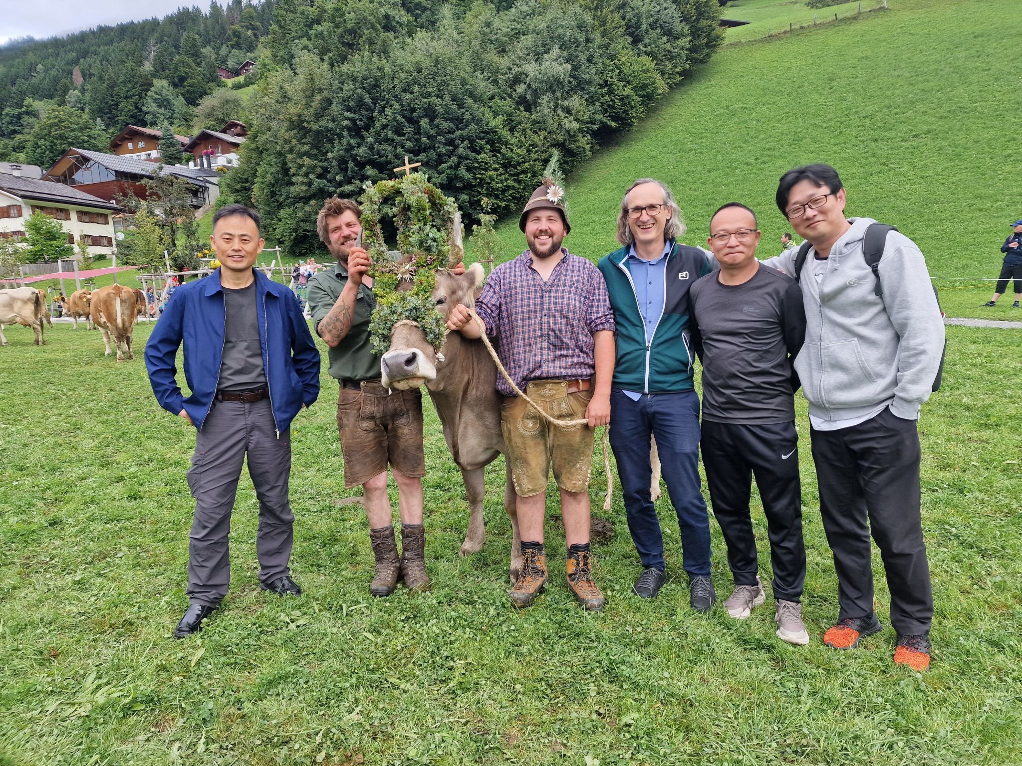 Alpabtrieb von der Alpe Latons ist ein freudiges Fest für das ganze Dorf. (Bildergalerie)