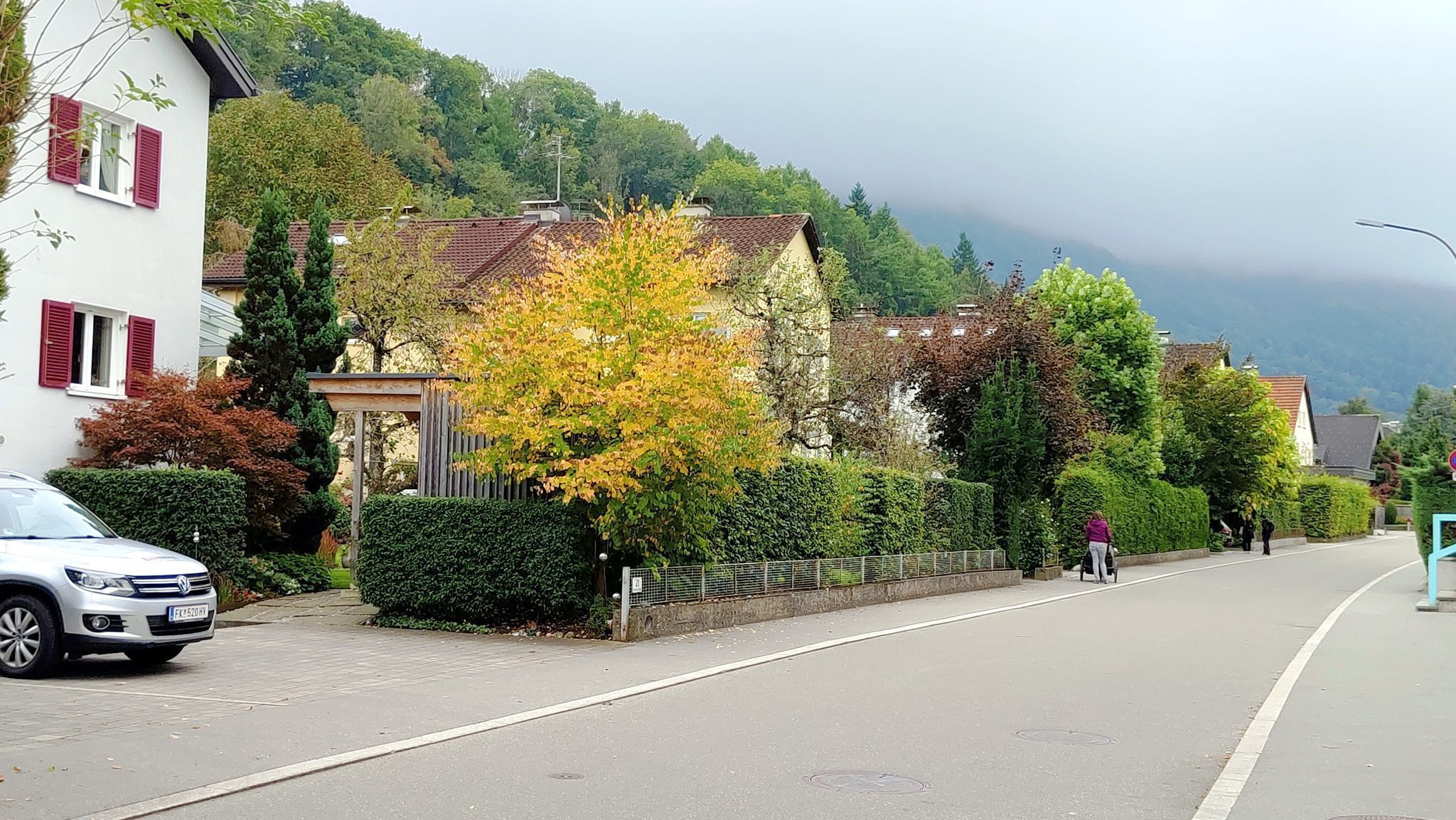 Herbstliches Stadtteilidyll: Blick in die Wolf-Huber-Straße.