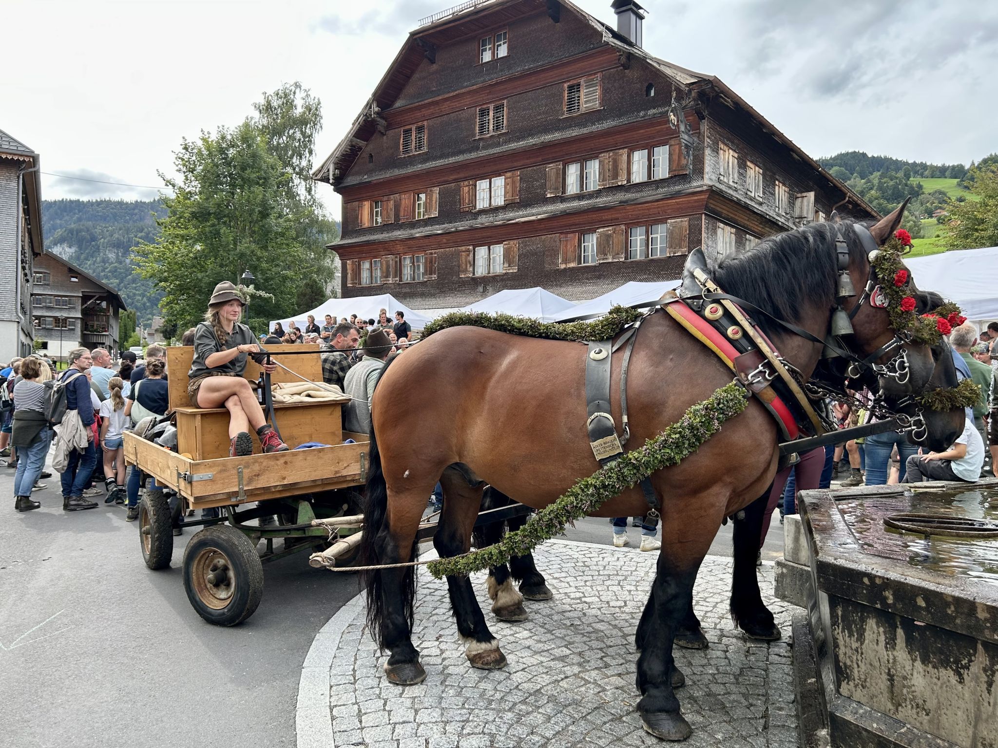 Auch ein Pferdewagen war dabei