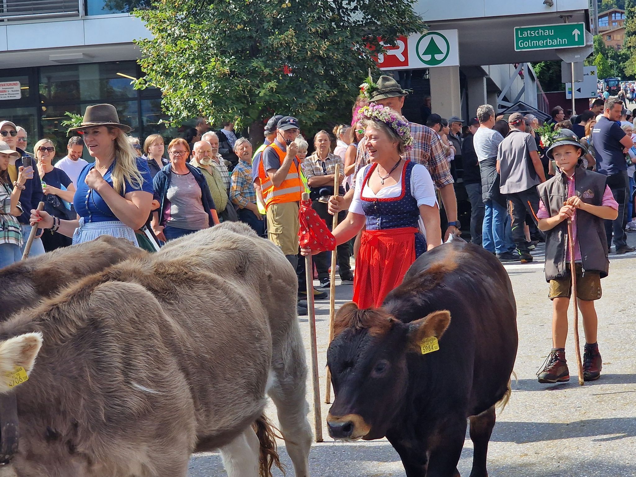 Impressionen von Alpabtrieb der vier Alpen in Tschagguns. (Bildergalerie)