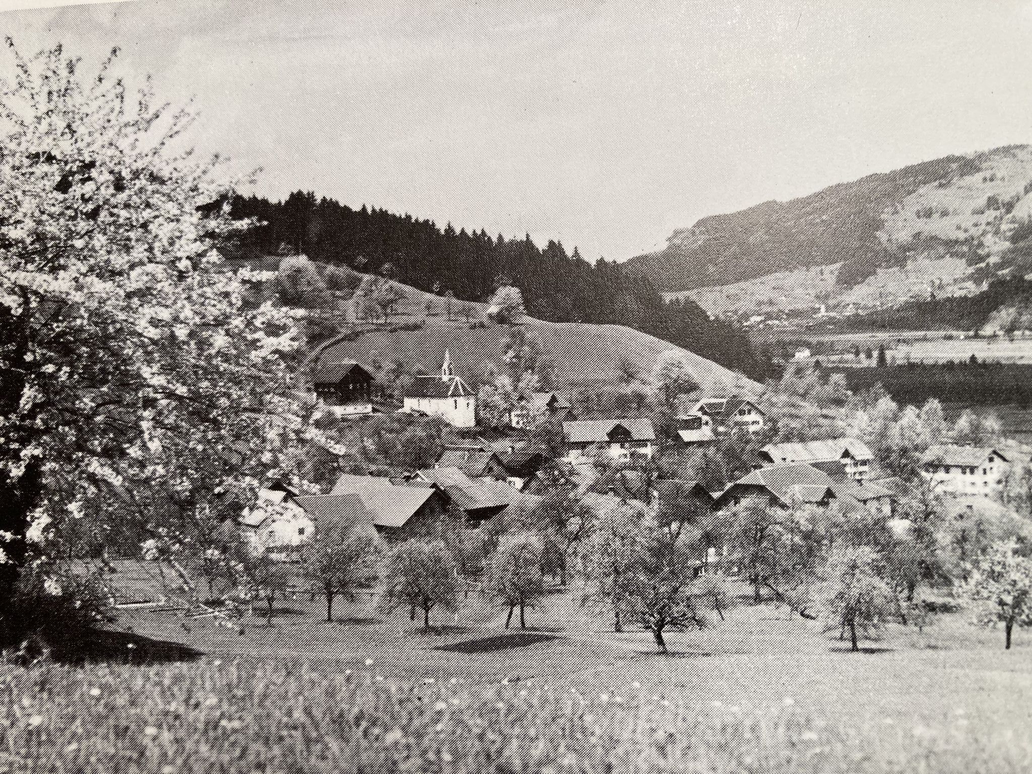 Die Nenzinger Parzelle Beschling ist historisch sehr interessant.