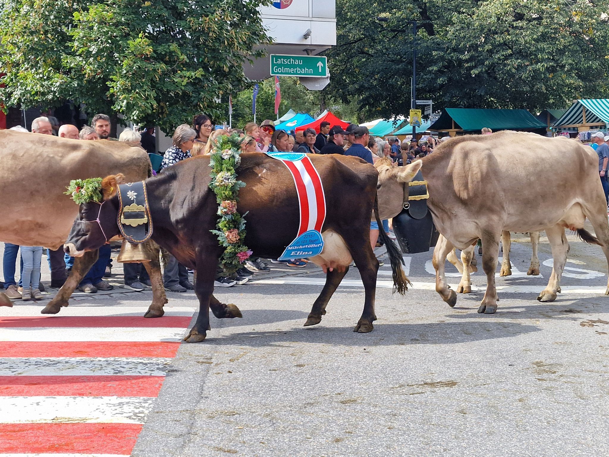 Impressionen von Alpabtrieb der vier Alpen in Tschagguns. (Bildergalerie)