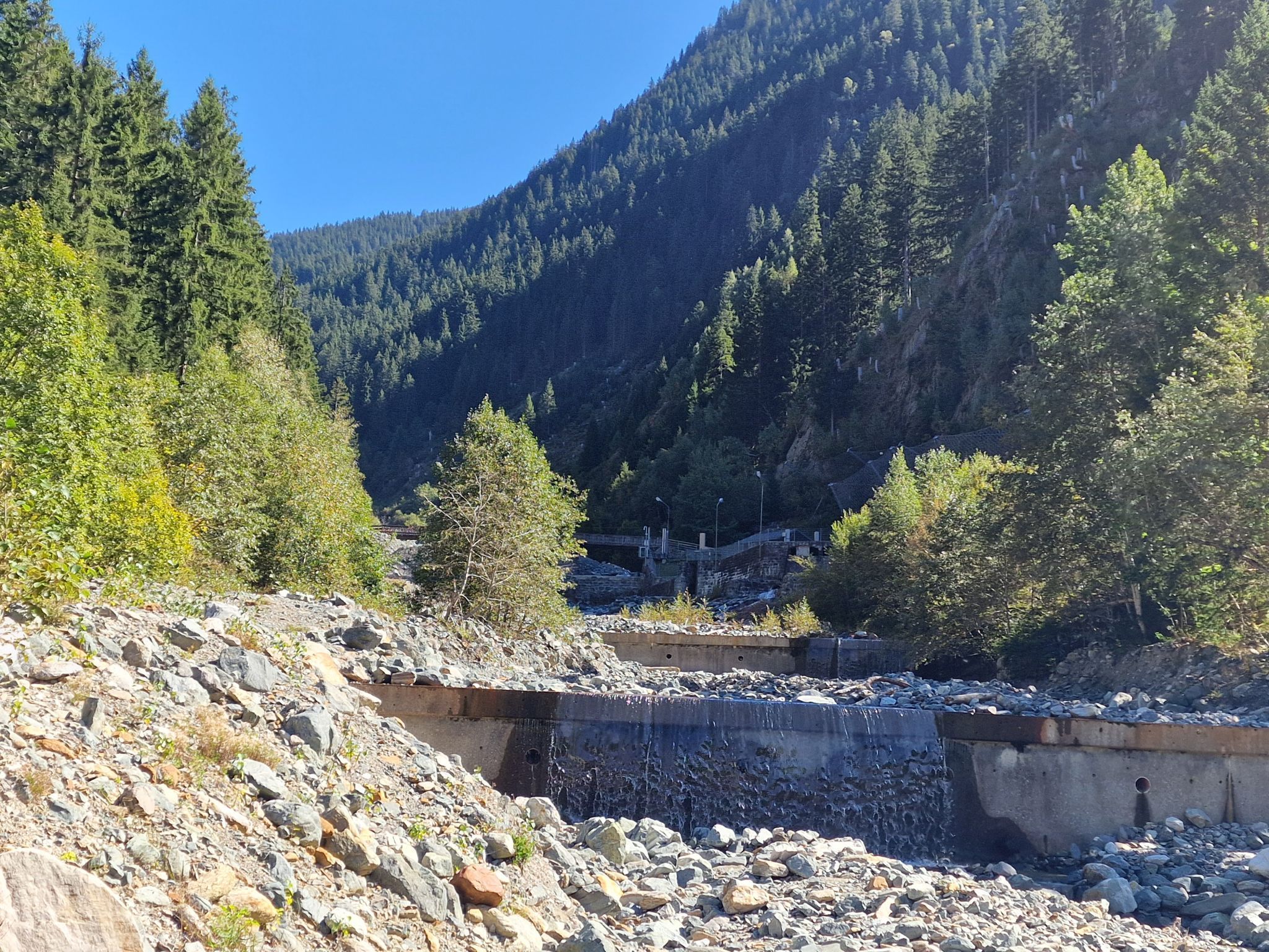 Schafscheide von der Alpe Gibau. (Bildergalerie)