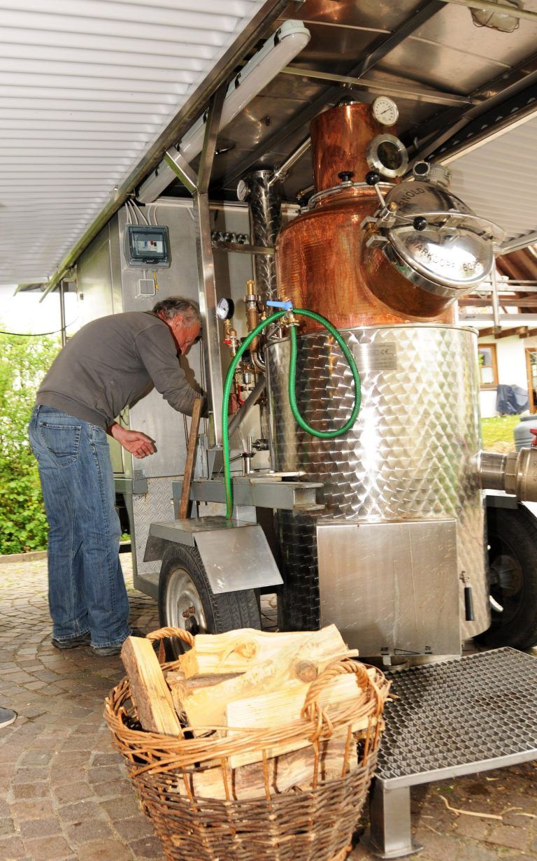 Der OGV Hard lud zur Blumenschmuckgala