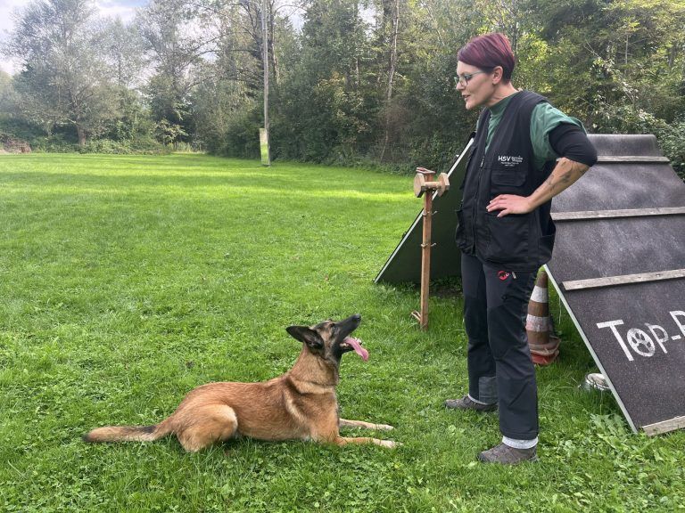 Hundesportverein Satteins-Walgau vor dem Aus