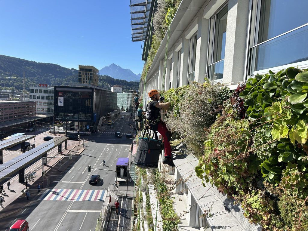 In Innsbruck wird die Hauswand zur blühenden Wiese