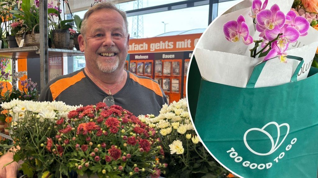 Nachhaltig und günstig: Jetzt auch Pflanzen über “Too Good To Go” erhältlich