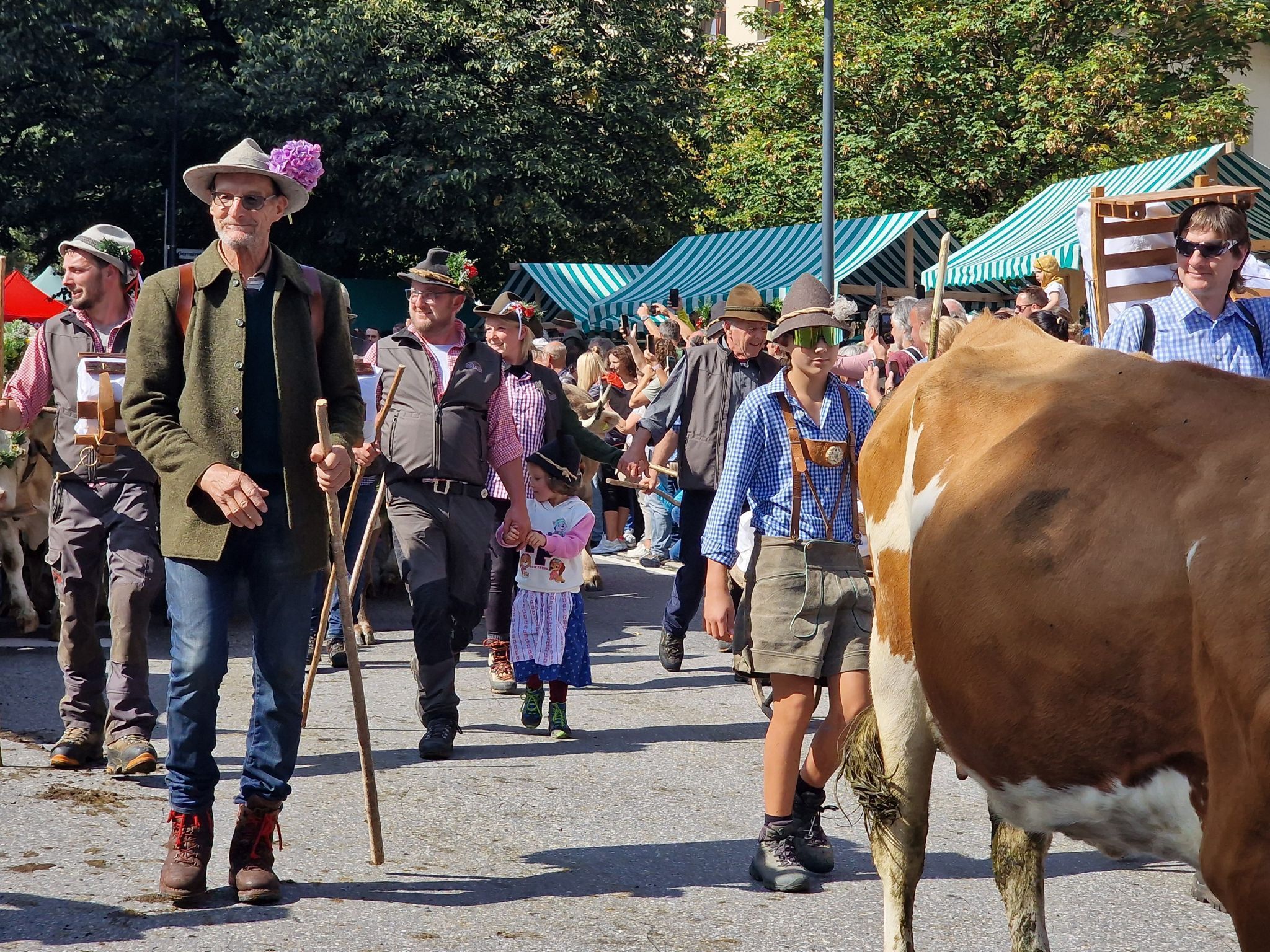 Die Älpler von der Alpe Spora, hier mit Älpler Peter Bahl bringen die Tiere ins Dorf