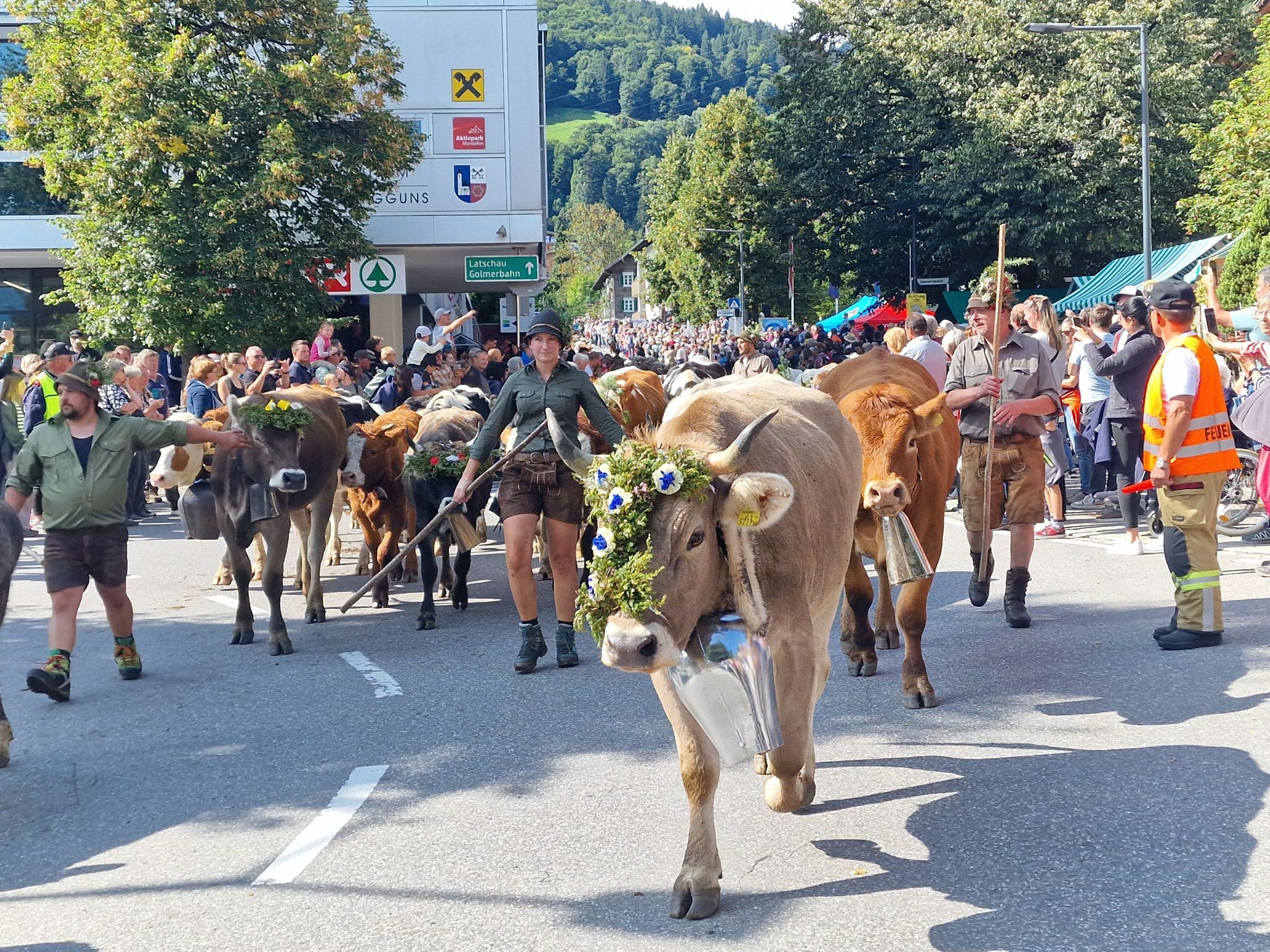Impressionen von Alpabtrieb der vier Alpen in Tschagguns. (Bildergalerie)