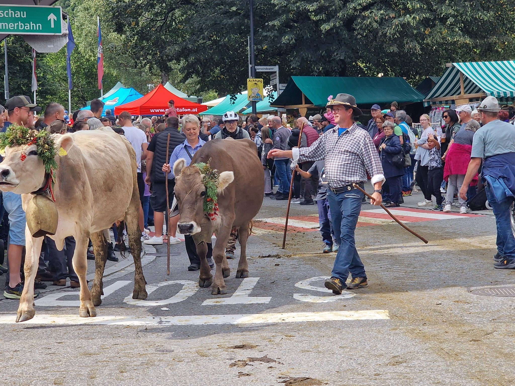 Impressionen von Alpabtrieb der vier Alpen in Tschagguns. (Bildergalerie)