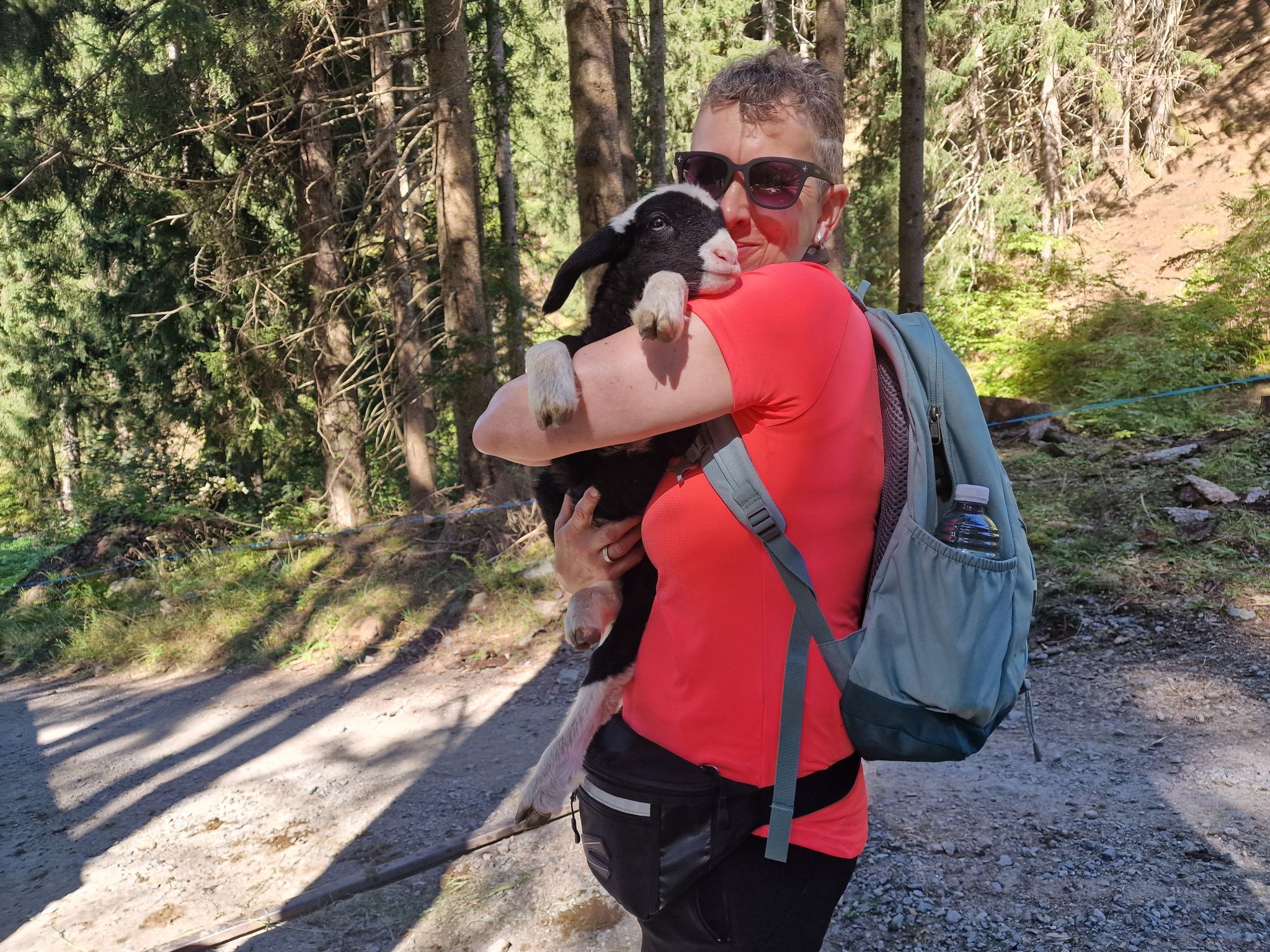 Schafscheide von der Alpe Gibau. (Bildergalerie)