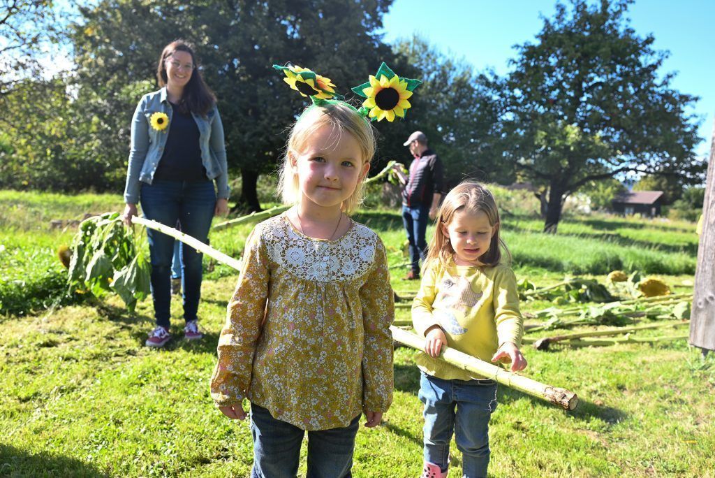 Rekordhöhen beim Sonnenblumenfest