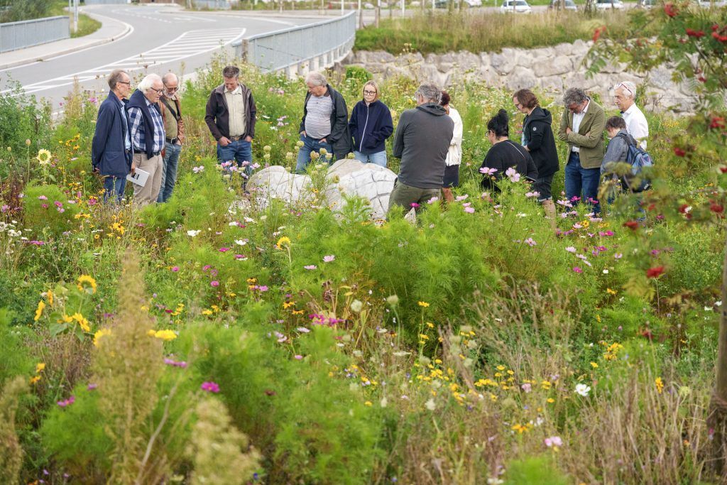Kunst, Musik und Naturgefahren im Fokus