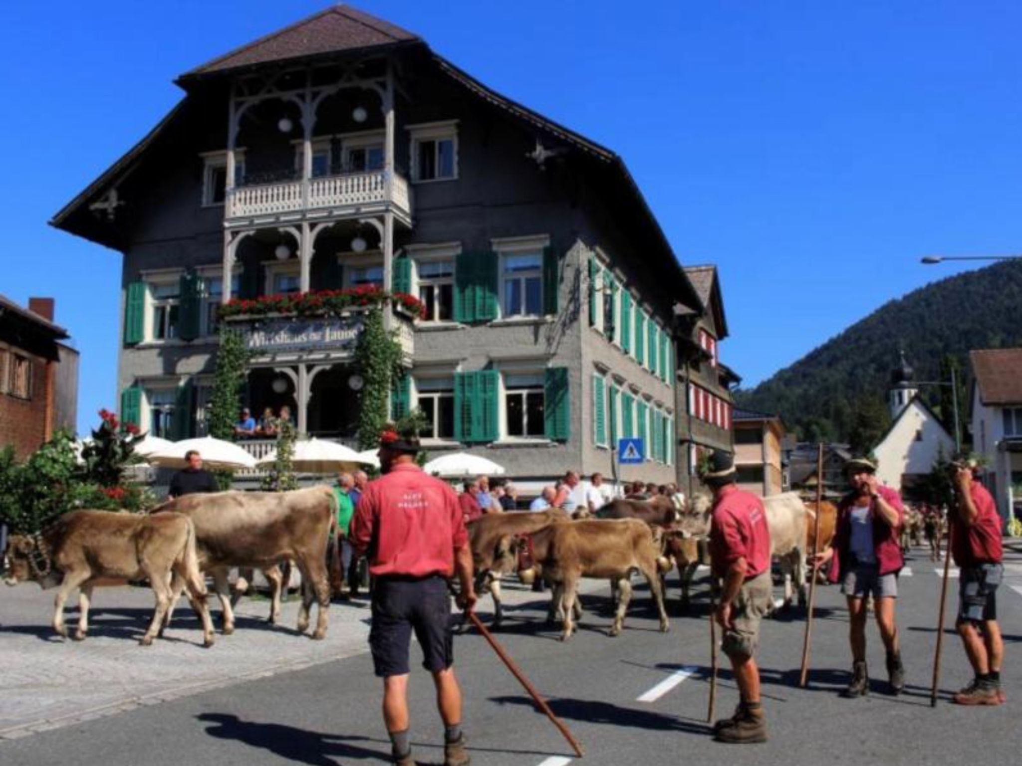 Geschafft! Wenn die Herde von der Alpe Halden am frühen Montag-Nachmittag auf den Alberschwender Dorfplatz einbiegt, bedeutet das auch das Ende des großen „Huozühos“ im Bregenzerwald. PETER STRAUSS
