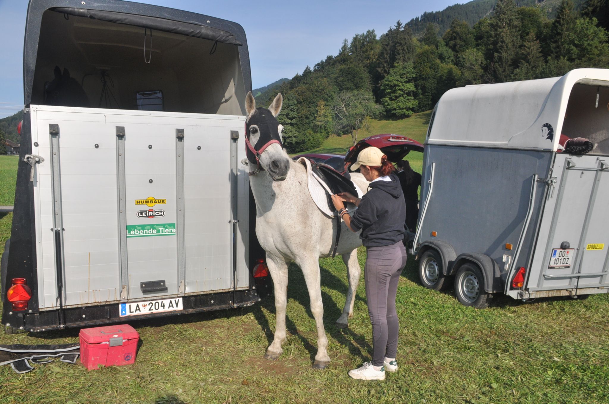 Aufsatteln des Pferdes