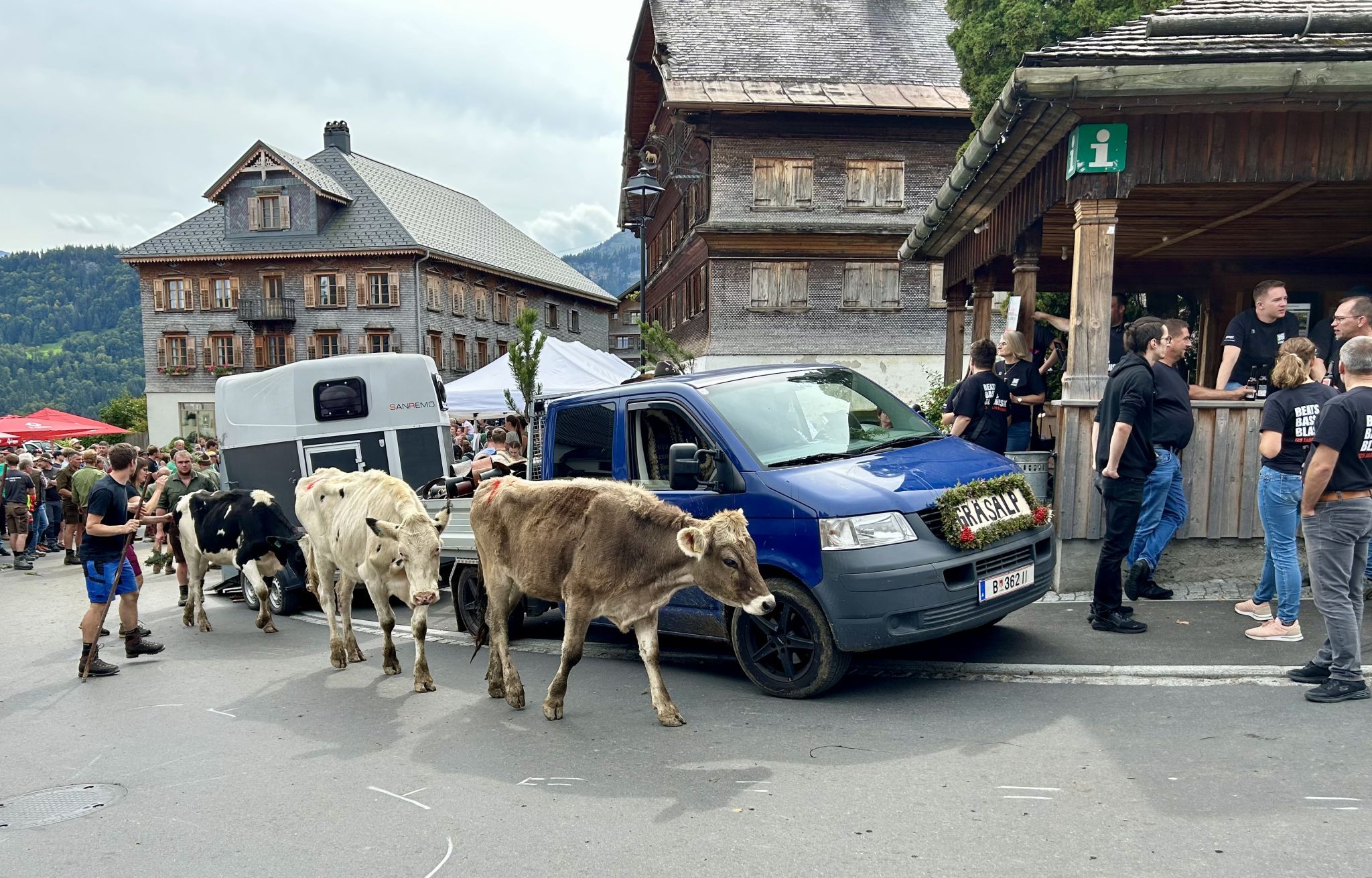 Sie kommen von der Gräsalp