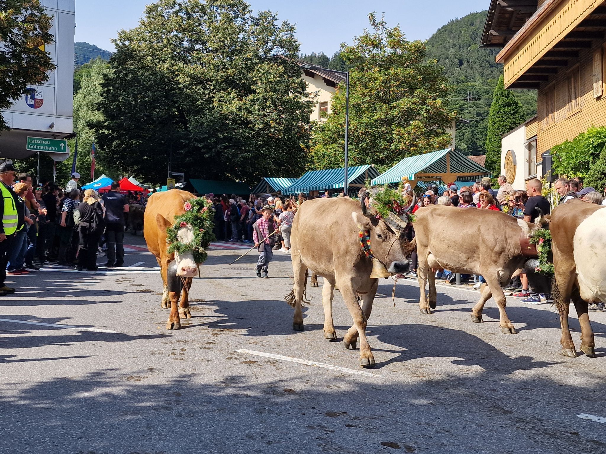 Impressionen von Alpabtrieb der vier Alpen in Tschagguns. (Bildergalerie)
