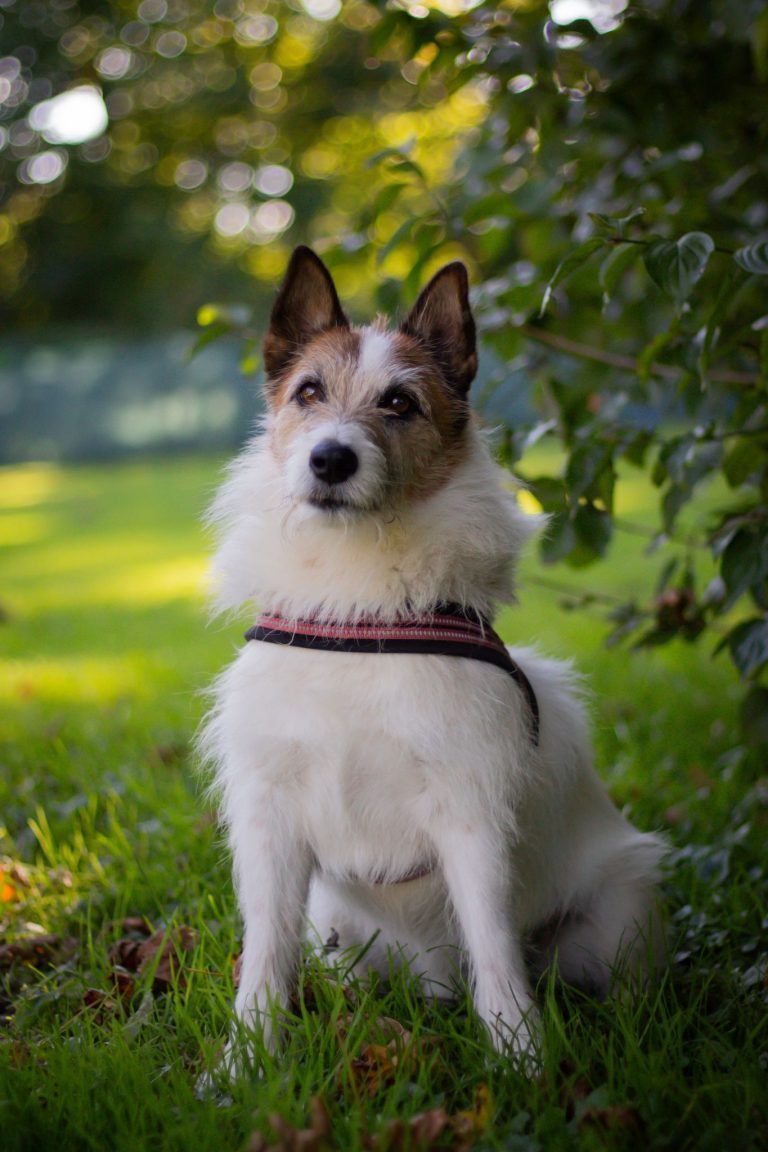 Zara ist eine kleine Vorzeigeschülerin