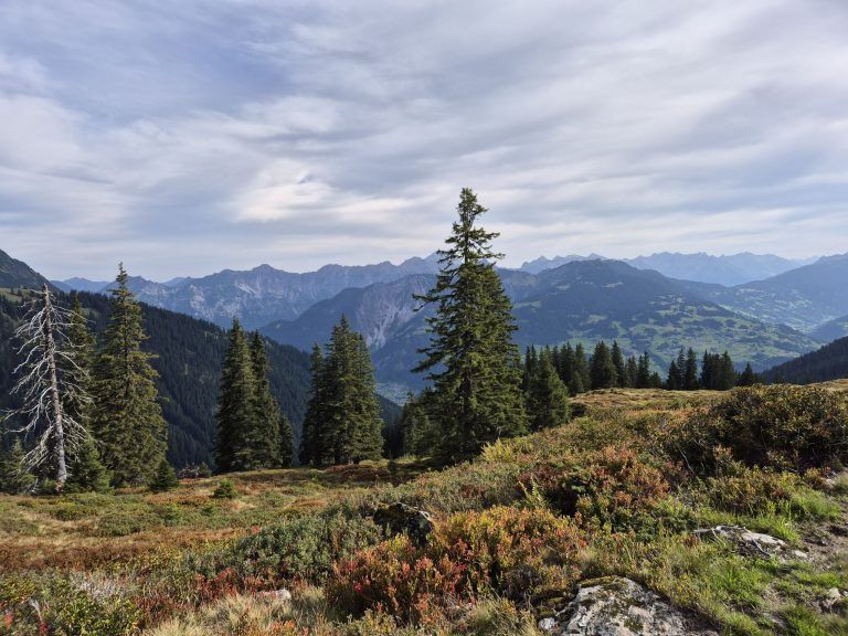Rellstal, Wanderweg Alpe Platzis bis Alpengasthaus Rellstal, Golm, Montafon