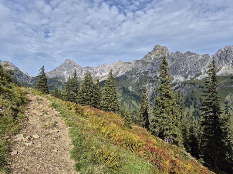 Rellstal, Wanderweg Alpe Platzis bis Alpengasthaus Rellstal, Golm, Montafon