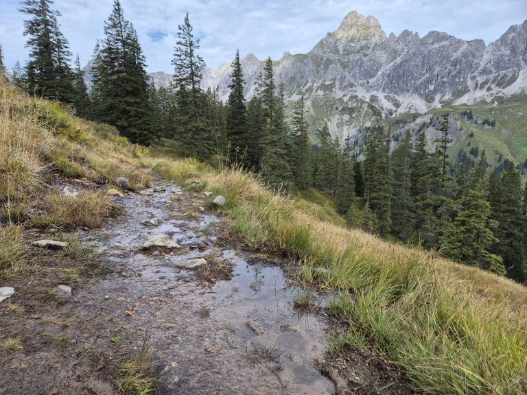 Rellstal, Wanderweg Alpe Platzis bis Alpengasthaus Rellstal, Golm, Montafon