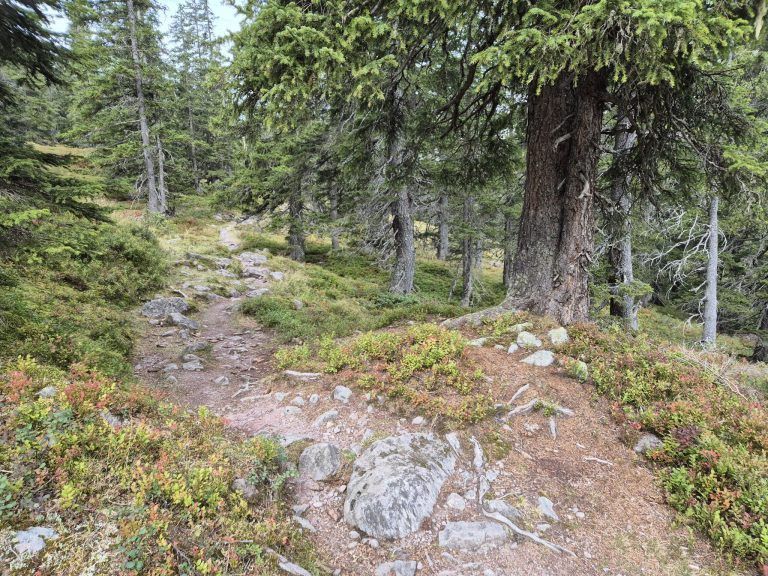 Rellstal, Wanderweg Alpe Platzis bis Alpengasthaus Rellstal, Golm, Montafon