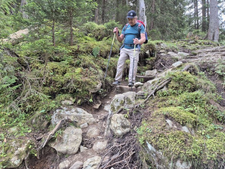 Rellstal, Wanderweg Alpe Platzis bis Alpengasthaus Rellstal, Golm, Montafon