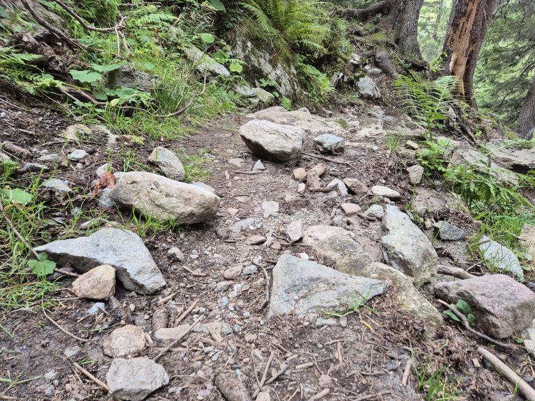 Rellstal, Wanderweg Alpe Platzis bis Alpengasthaus Rellstal, Golm, Montafon