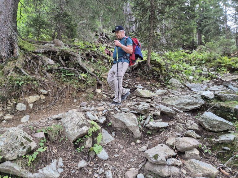 Rellstal, Wanderweg Alpe Platzis bis Alpengasthaus Rellstal, Golm, Montafon