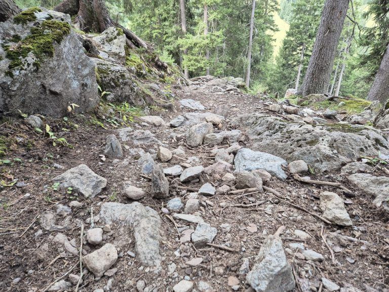 Rellstal, Wanderweg Alpe Platzis bis Alpengasthaus Rellstal, Golm, Montafon