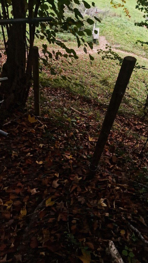 Rücksichtlose und gewaltbereite  Mountainbiker sorgen für Ärger am Pfänder: „Es artet aus“
