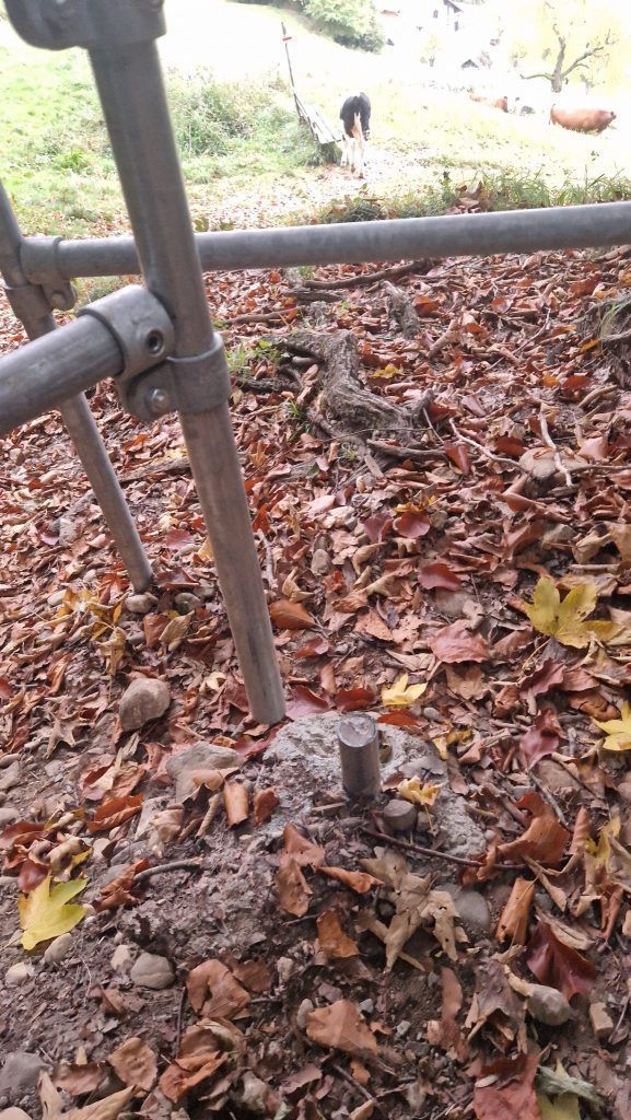 Rücksichtlose und gewaltbereite  Mountainbiker sorgen für Ärger am Pfänder: „Es artet aus“